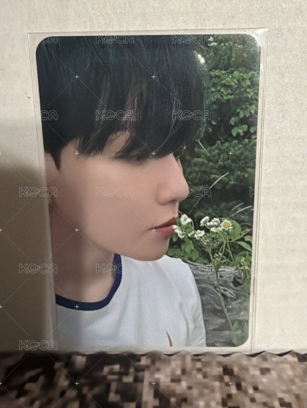 bolo4 ju 簽售卡