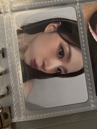 合影