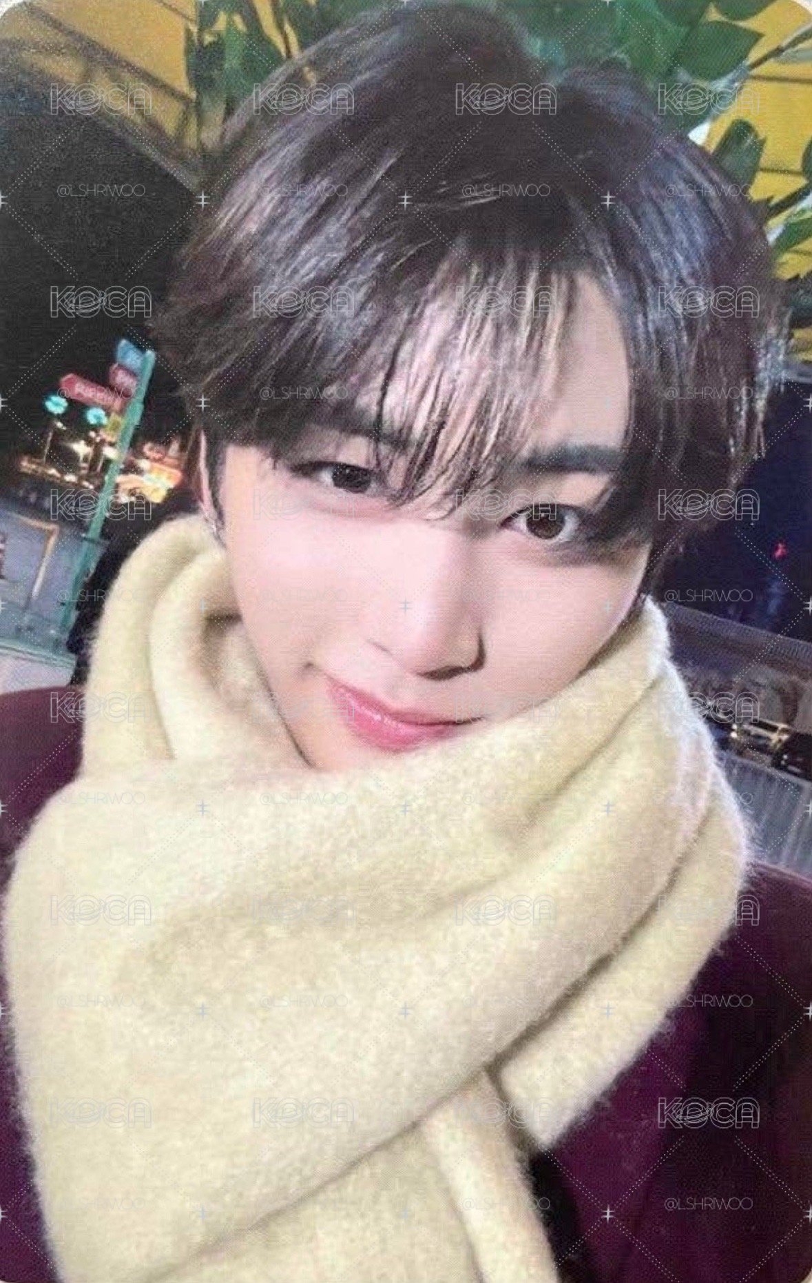 圍巾4🧣