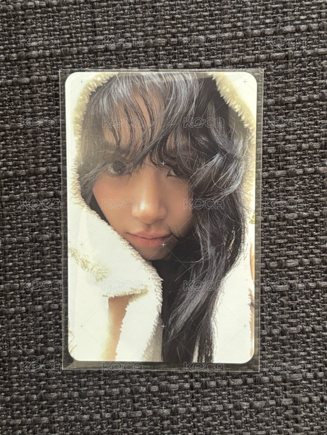 熊帽彩90