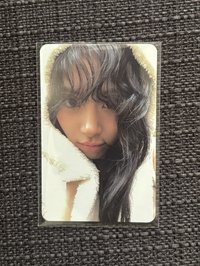 熊帽彩90
