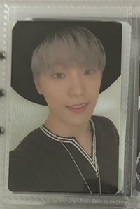 白毛燦