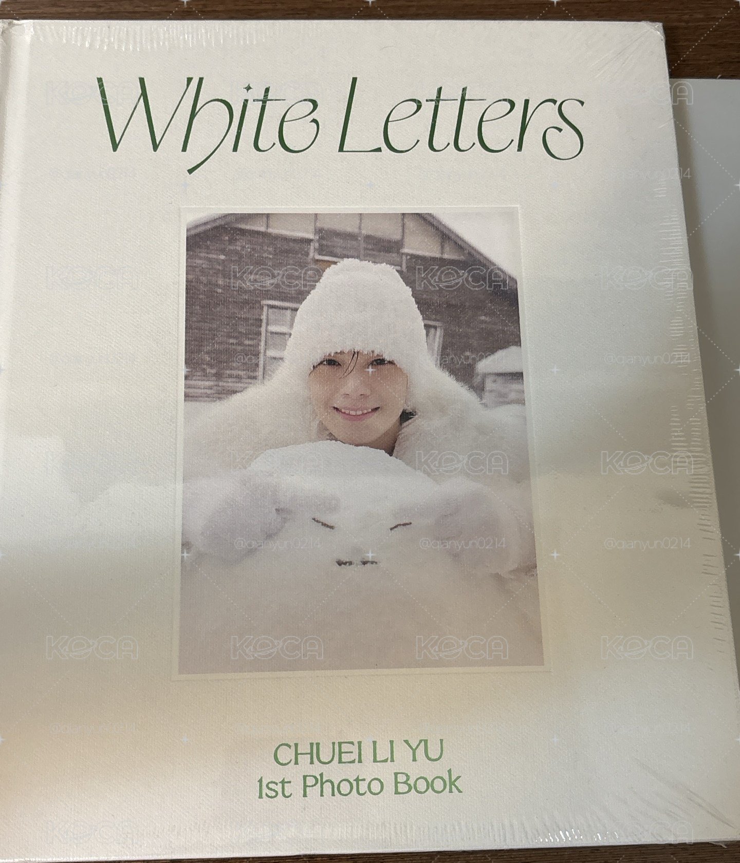 ✨寫真書 未拆