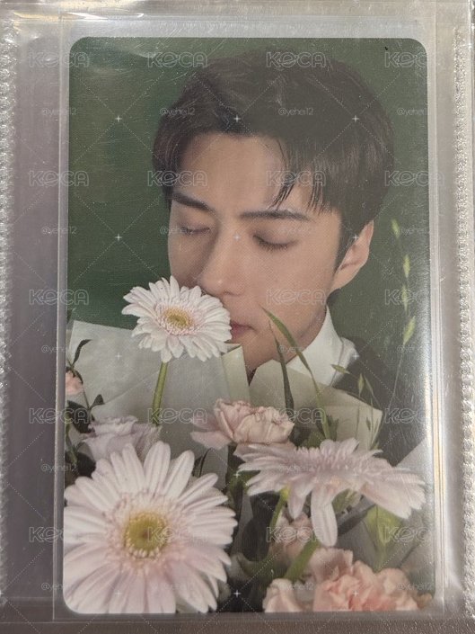 EXO SEHUN 吳世勳 REVERXE 專卡