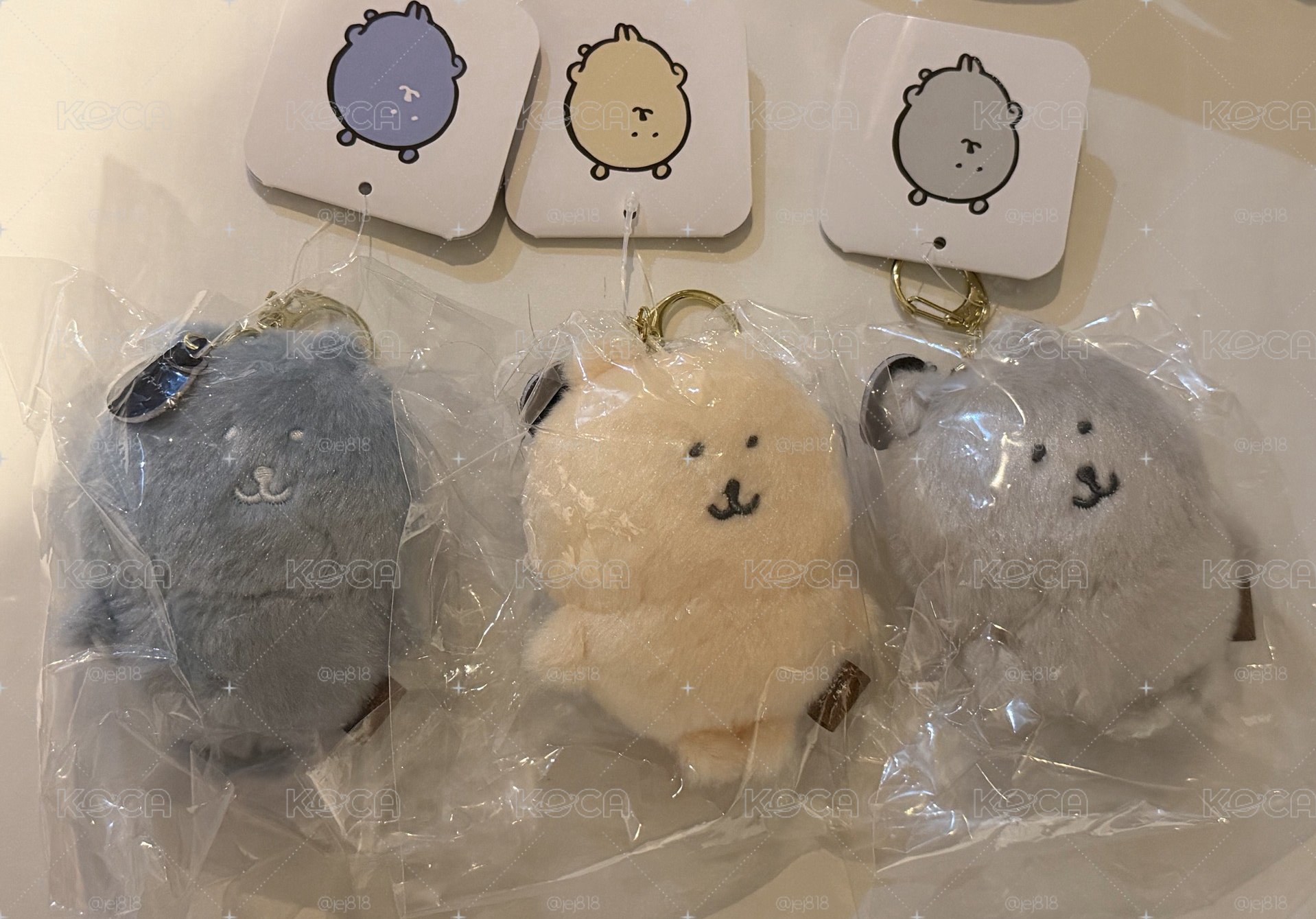 白熊 韓國限定色