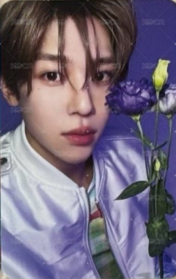 Songbird專卡🌹