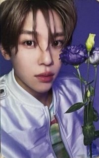 Songbird專卡🌹