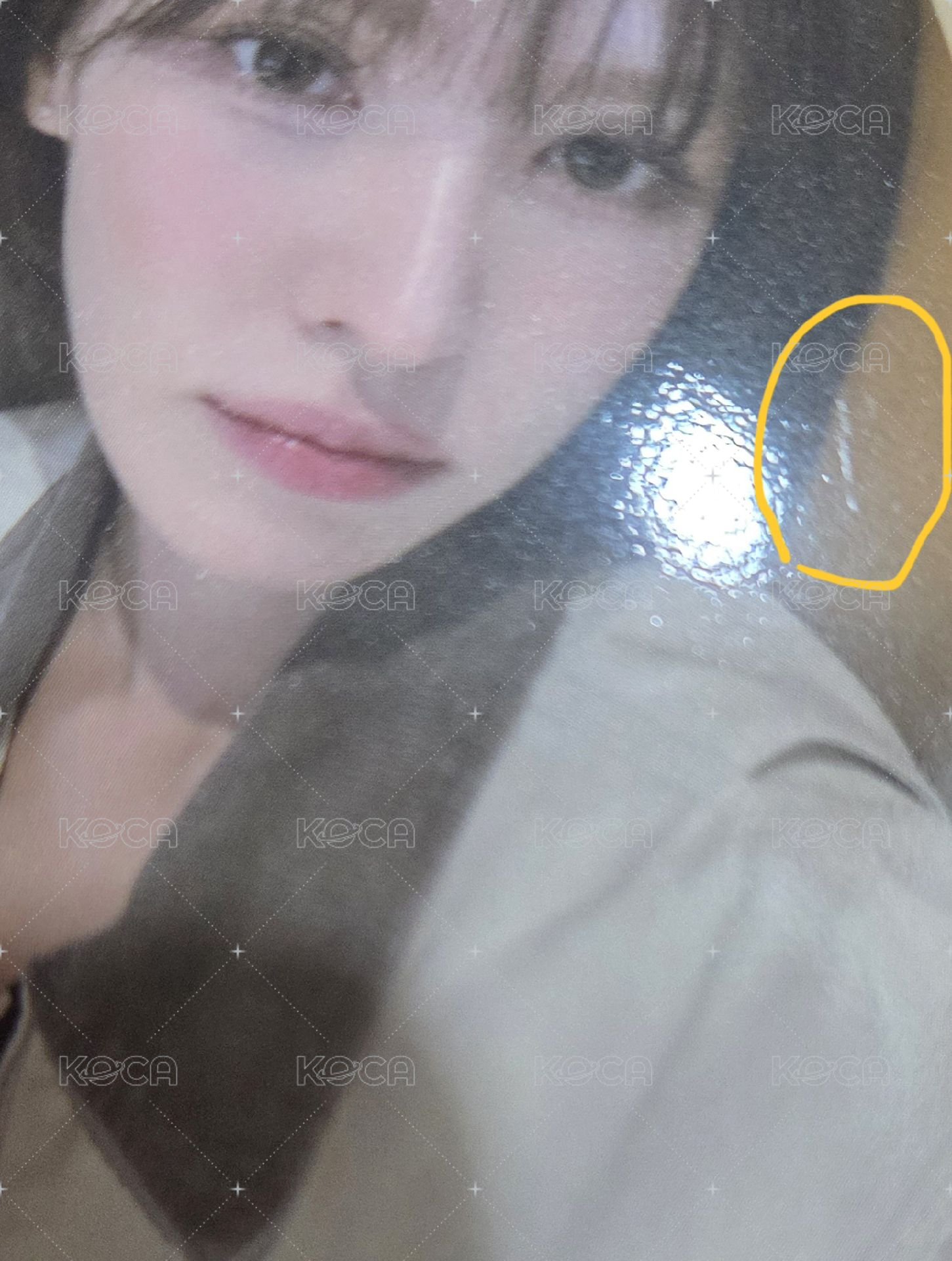 wendy櫻花季小卡