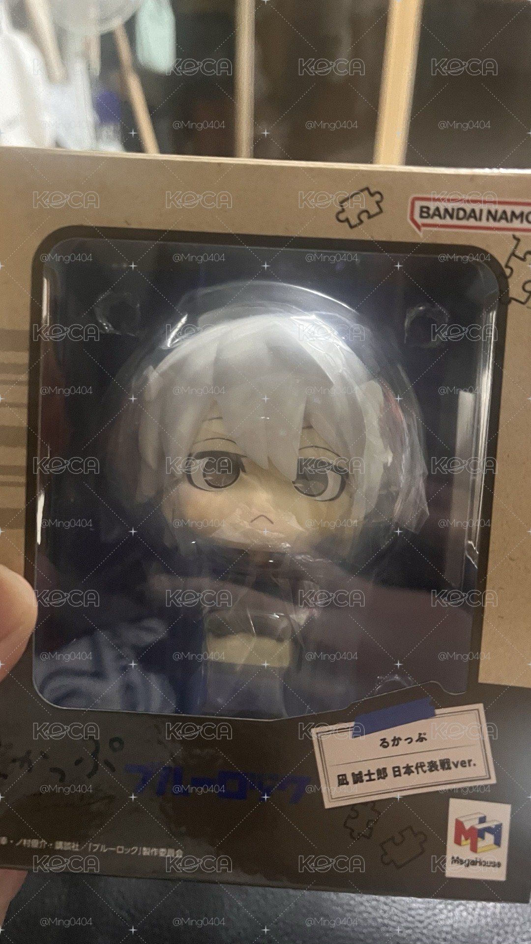 Nagi特典版