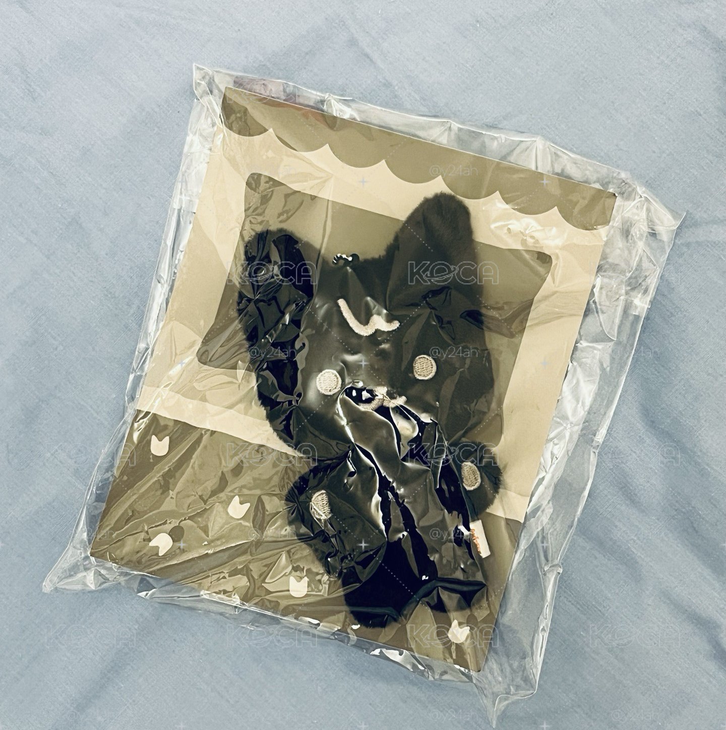 榮 豆豆眼