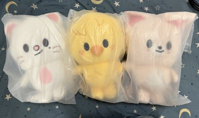 後背包 