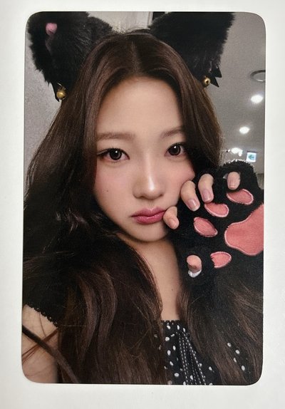 貓爪Stella 