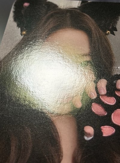 貓爪Stella 