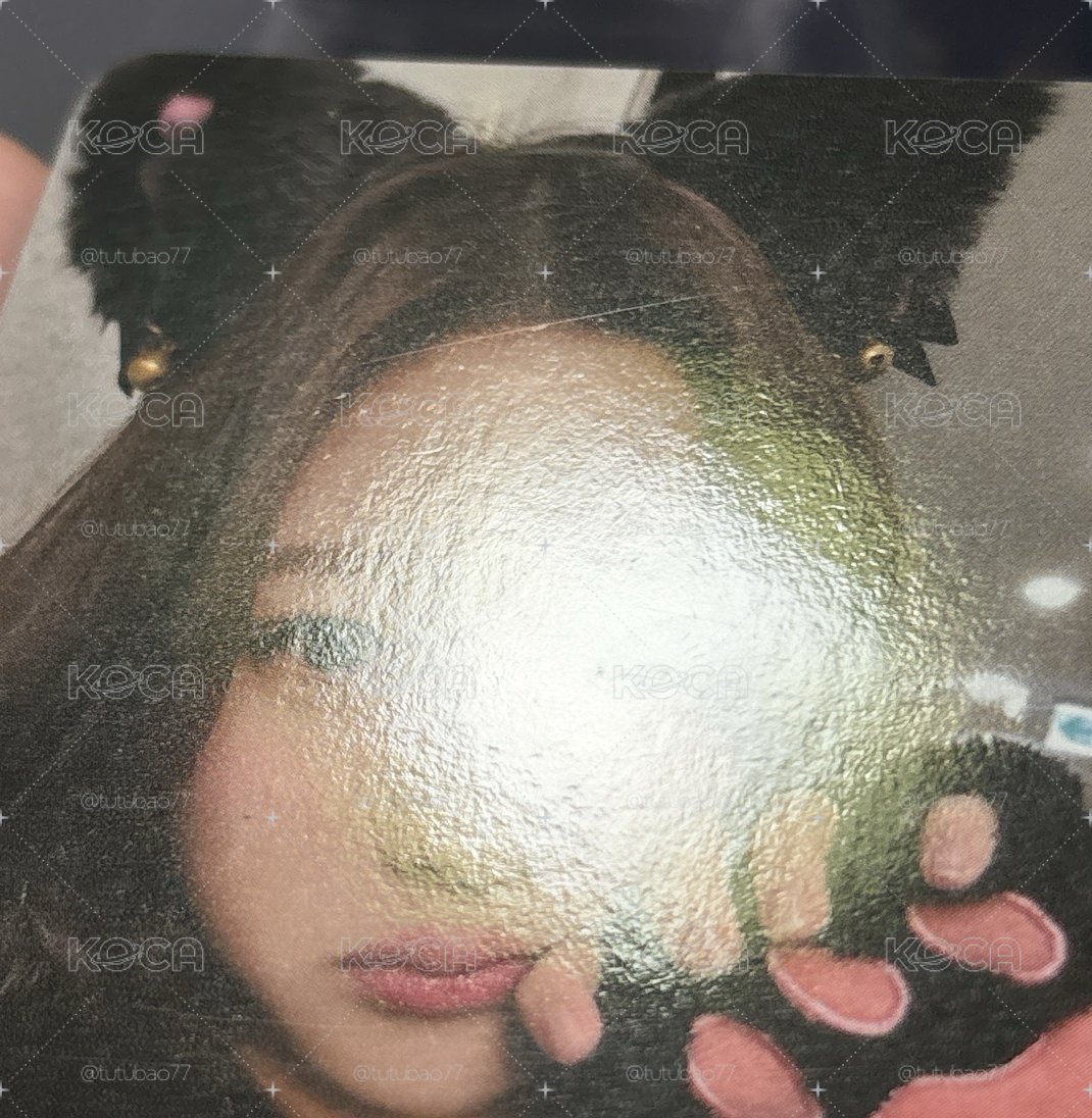 貓爪Stella 
