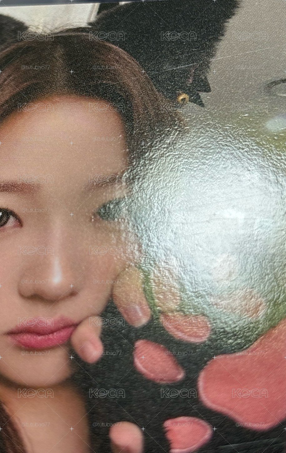 貓爪Stella 