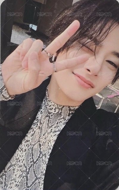 菲寅小卡