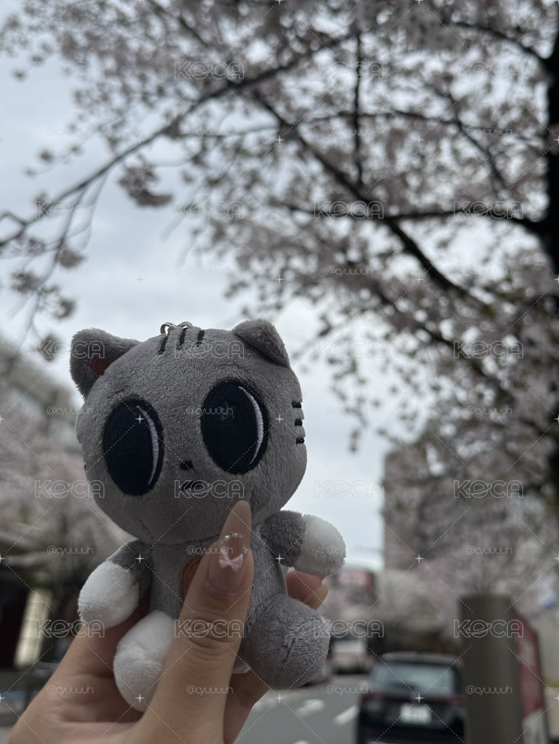 角巴兔 松喵💖