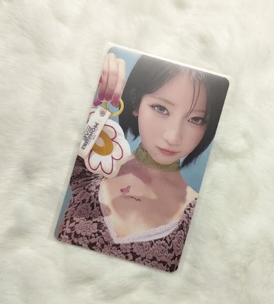 Search image