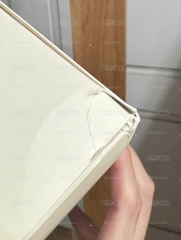 泰尼尼 蝴蝶結中娃 已拆封