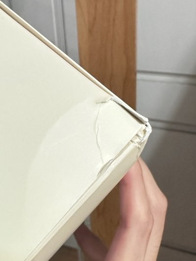 泰尼尼 蝴蝶結中娃 已拆封