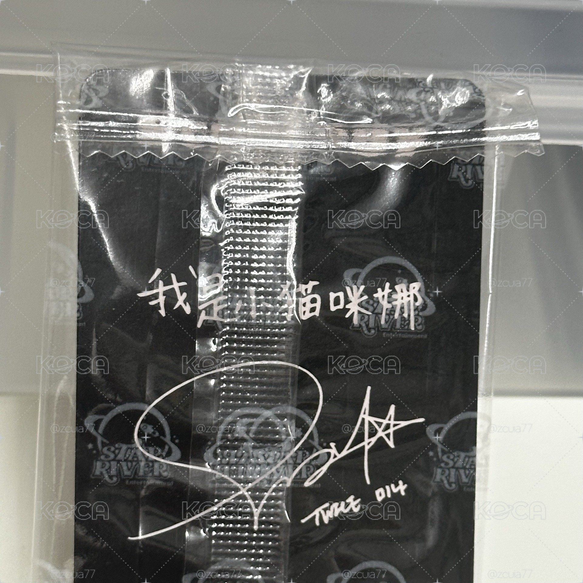 小貓咪娜