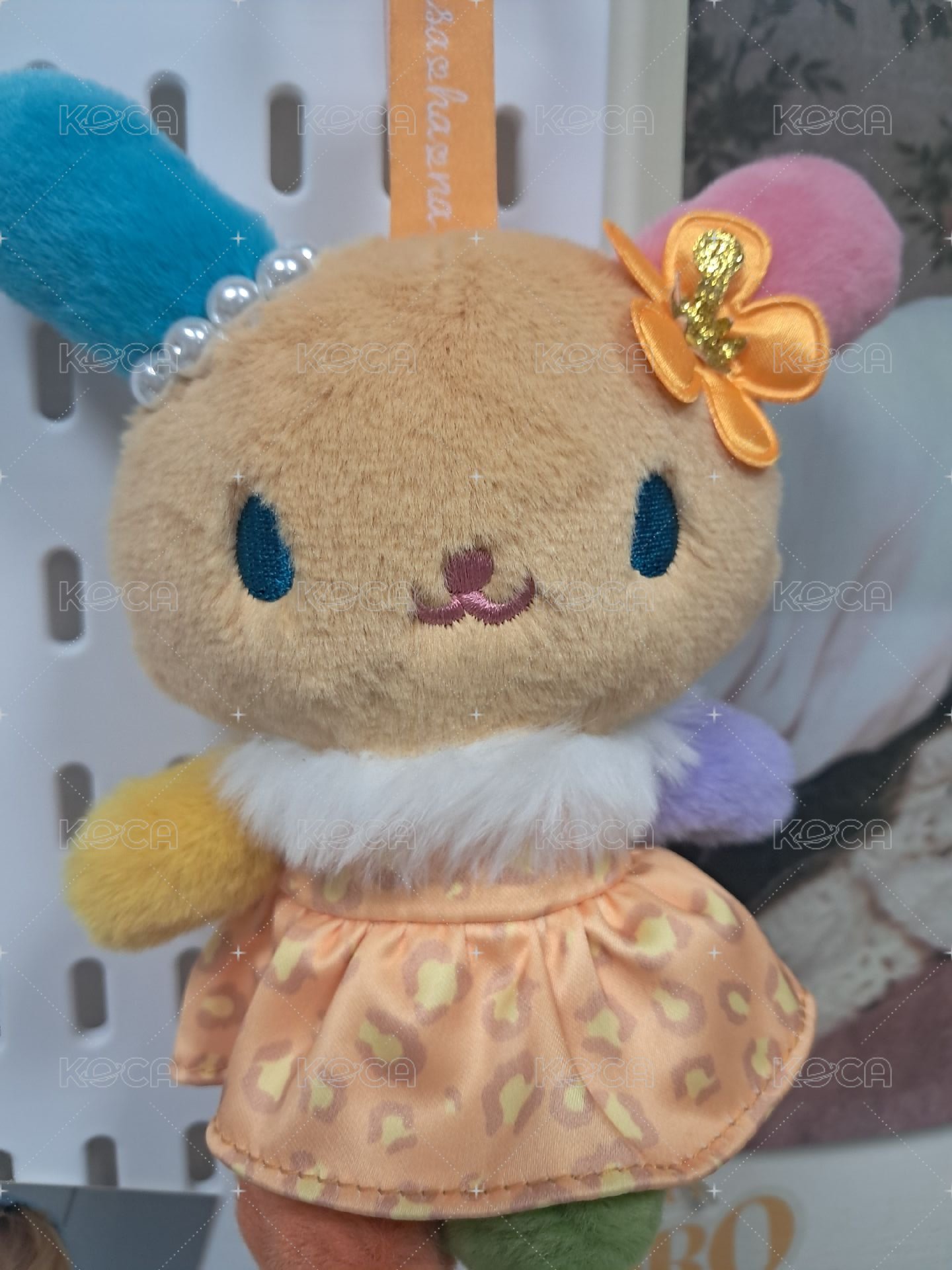 黑皮花小兔