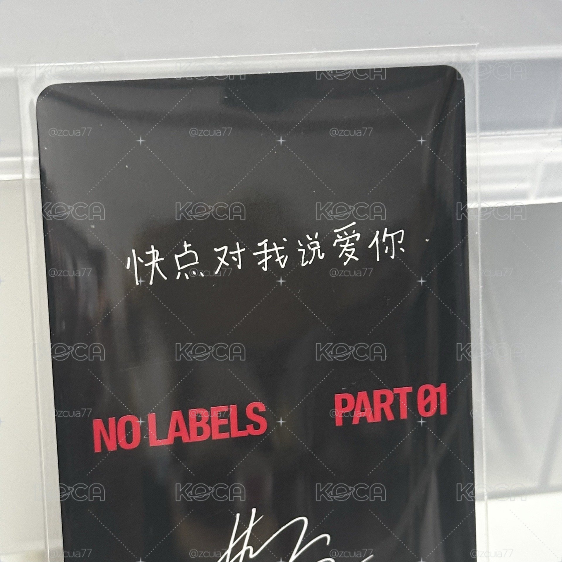 快點對我說愛你🦊