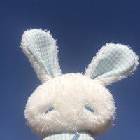 🐰