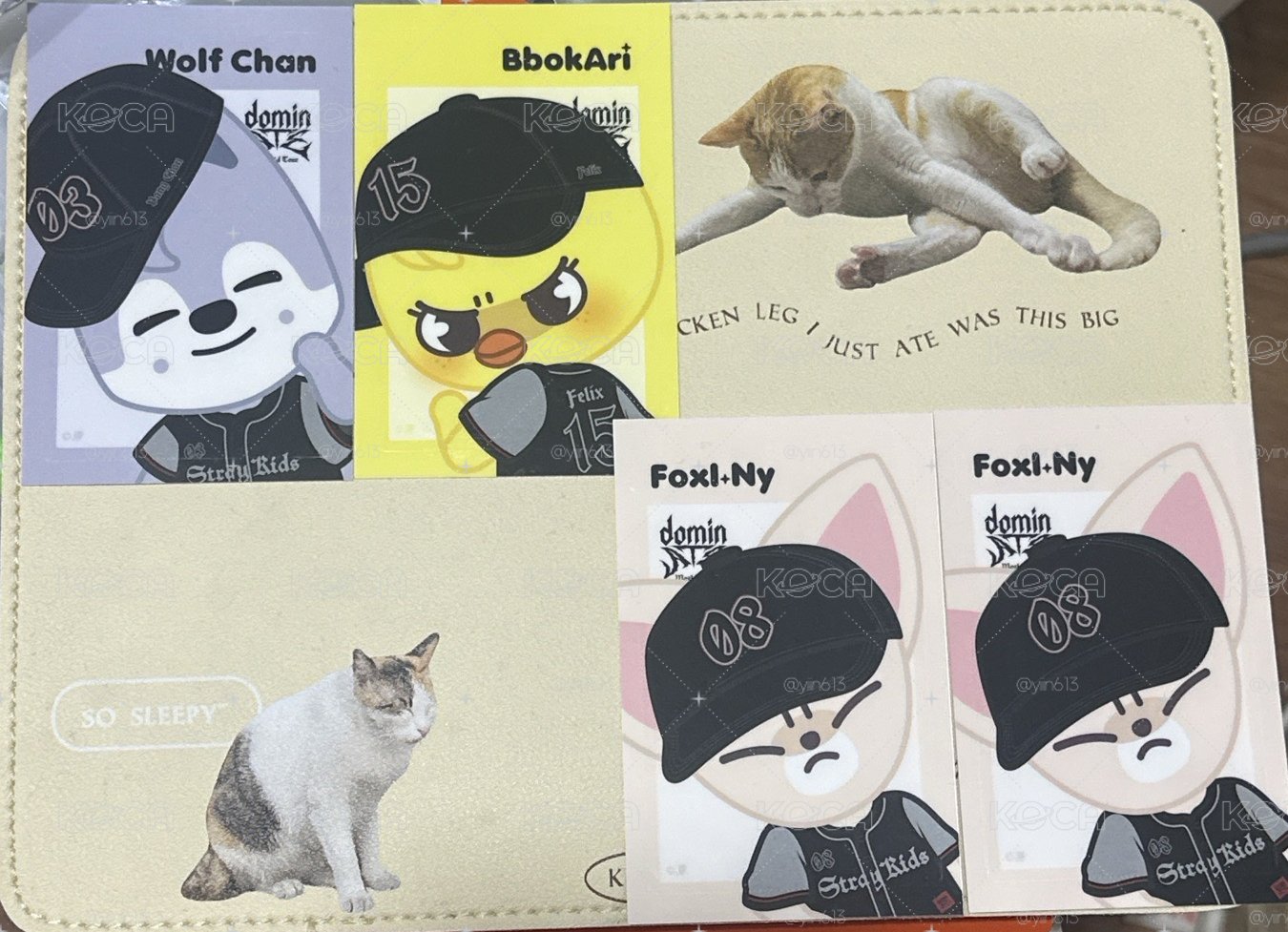 靜岡 SKZOO交通卡貼