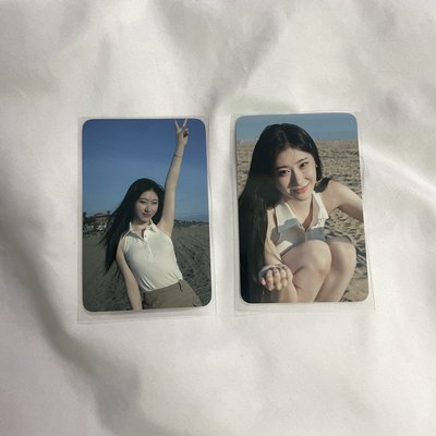 兩張一起 彩領 2024 年曆隨機卡