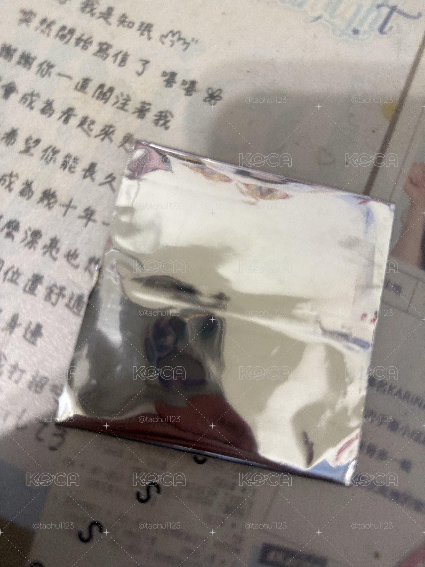 滿額肉肉未拆隨機拍立得