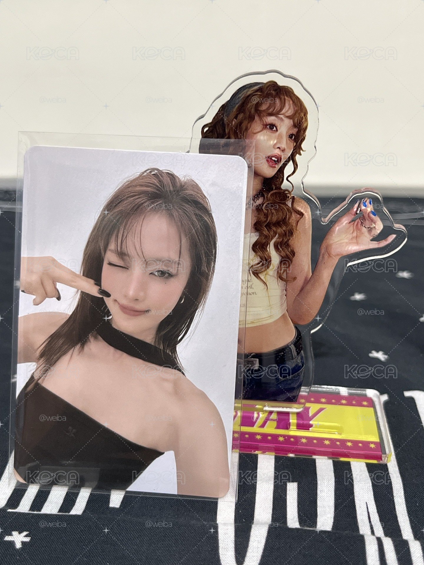 26’世巡 台北場VIP 入場卡 夾臉妮