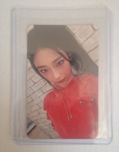 美網