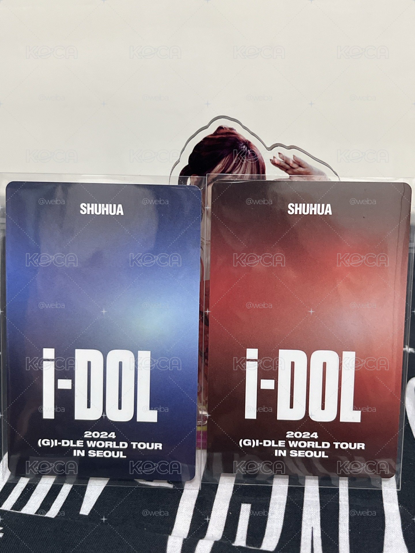 24世巡 iDOL演唱會 DVD+藍光 刷刷不拆