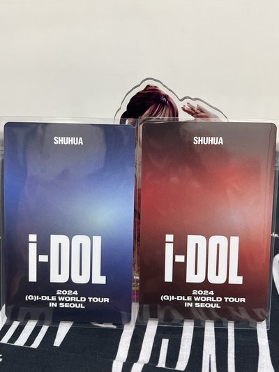 24世巡 iDOL演唱會 DVD+藍光 刷刷不拆