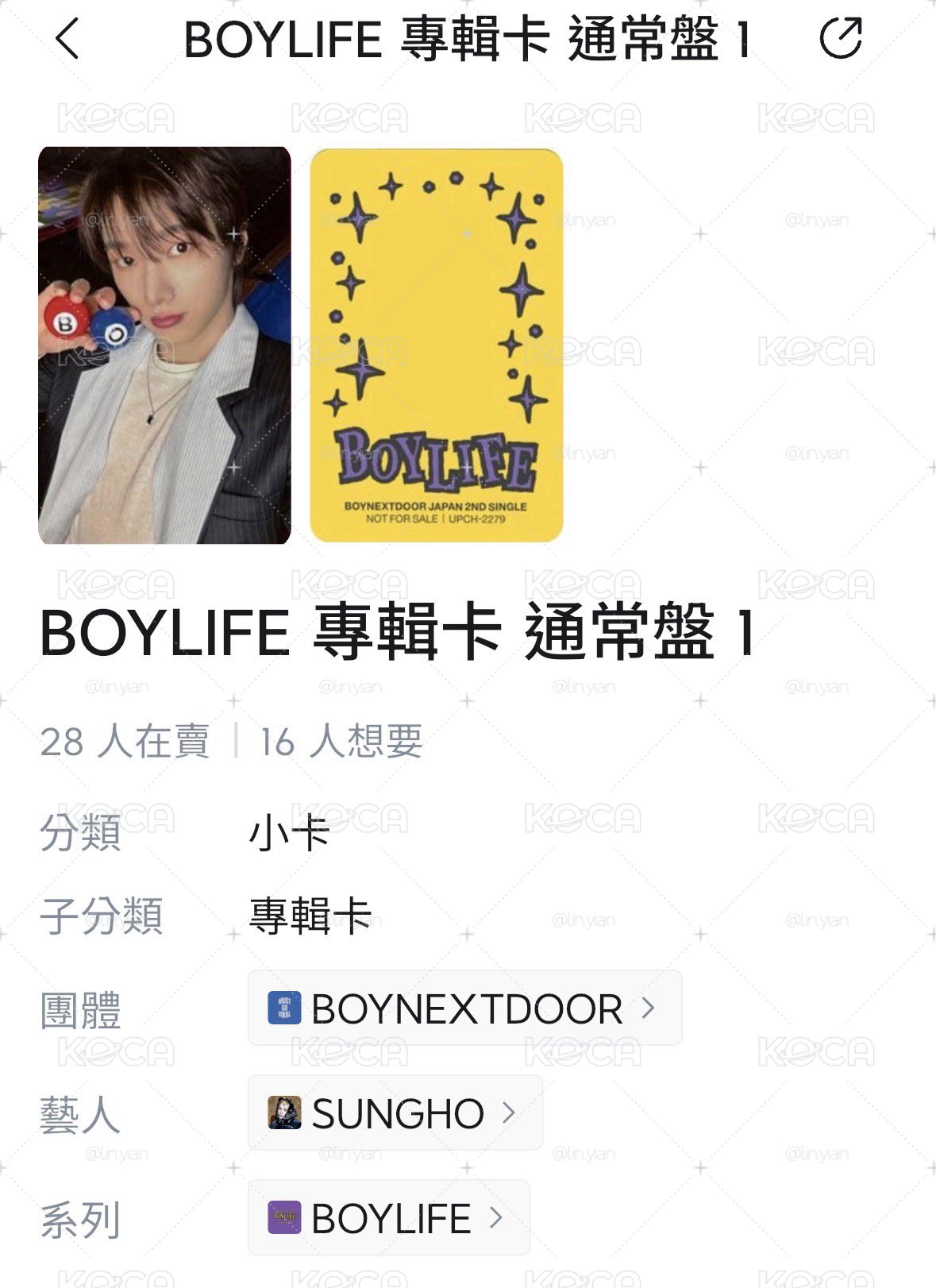 BOYLIFE 專輯卡 通常盤 1