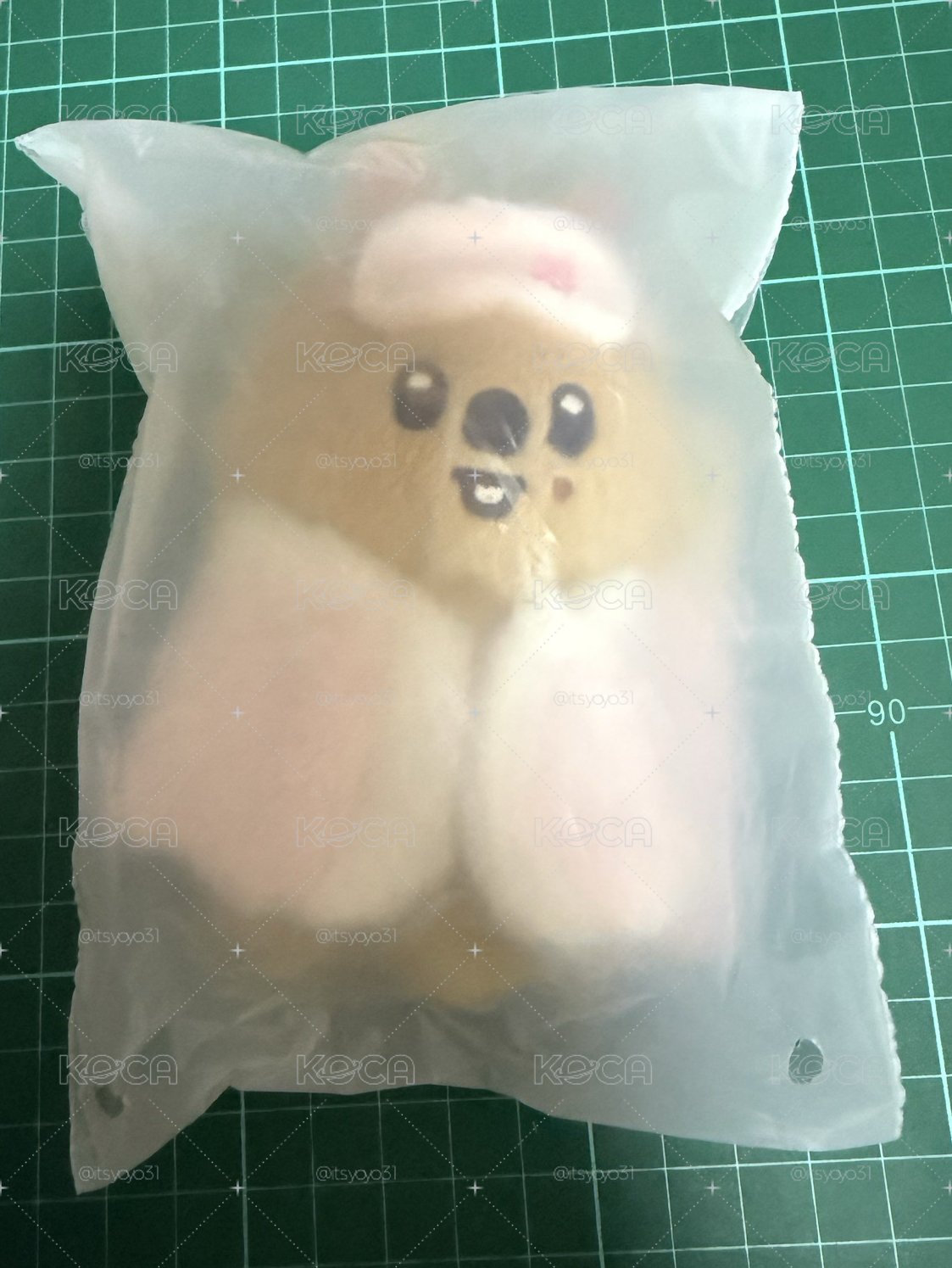 韓知城 Han 六期飯咪睡衣10cm娃