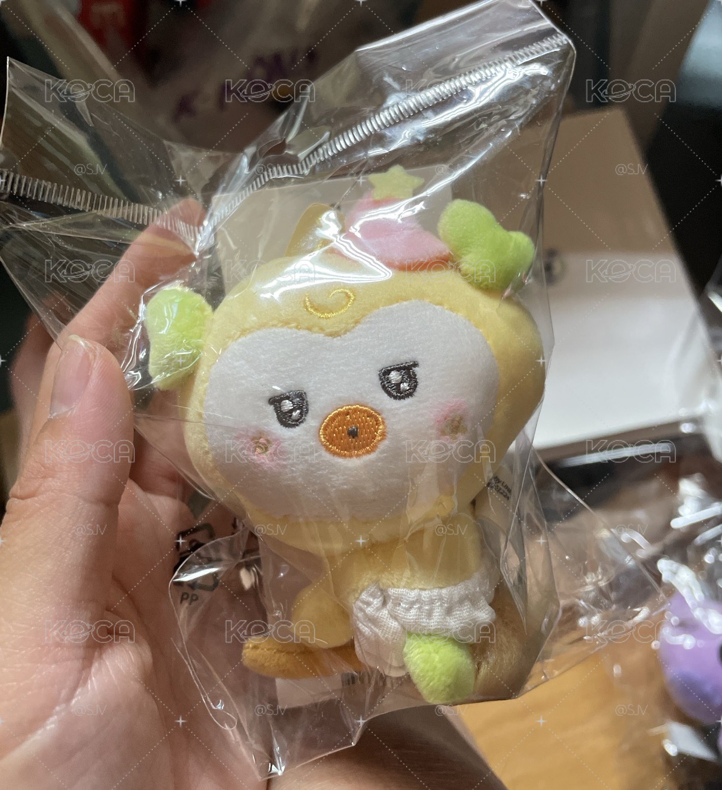 魔法寶寶_琦