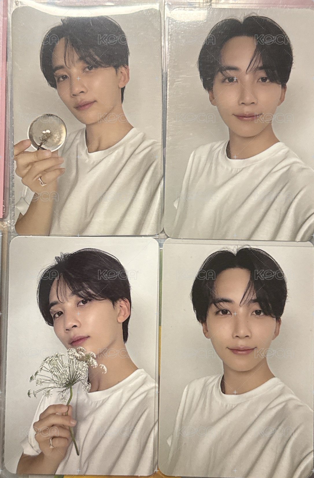 精選carat 4張