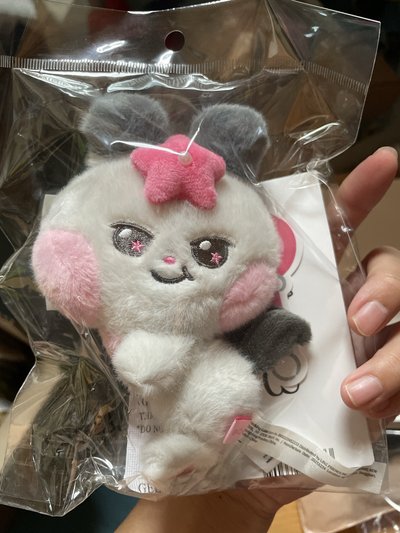 趴_星