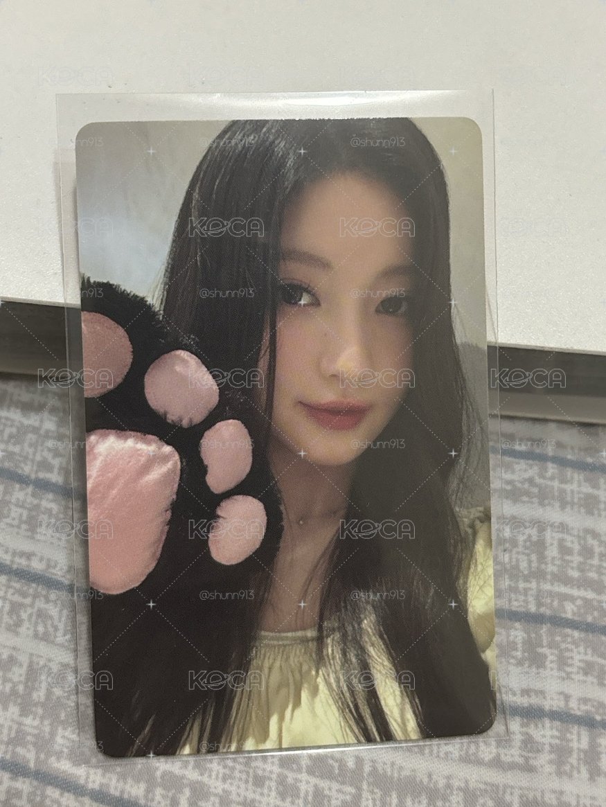 貓爪ASA