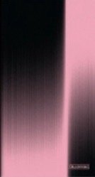 10週年 wvs LD 明信片 