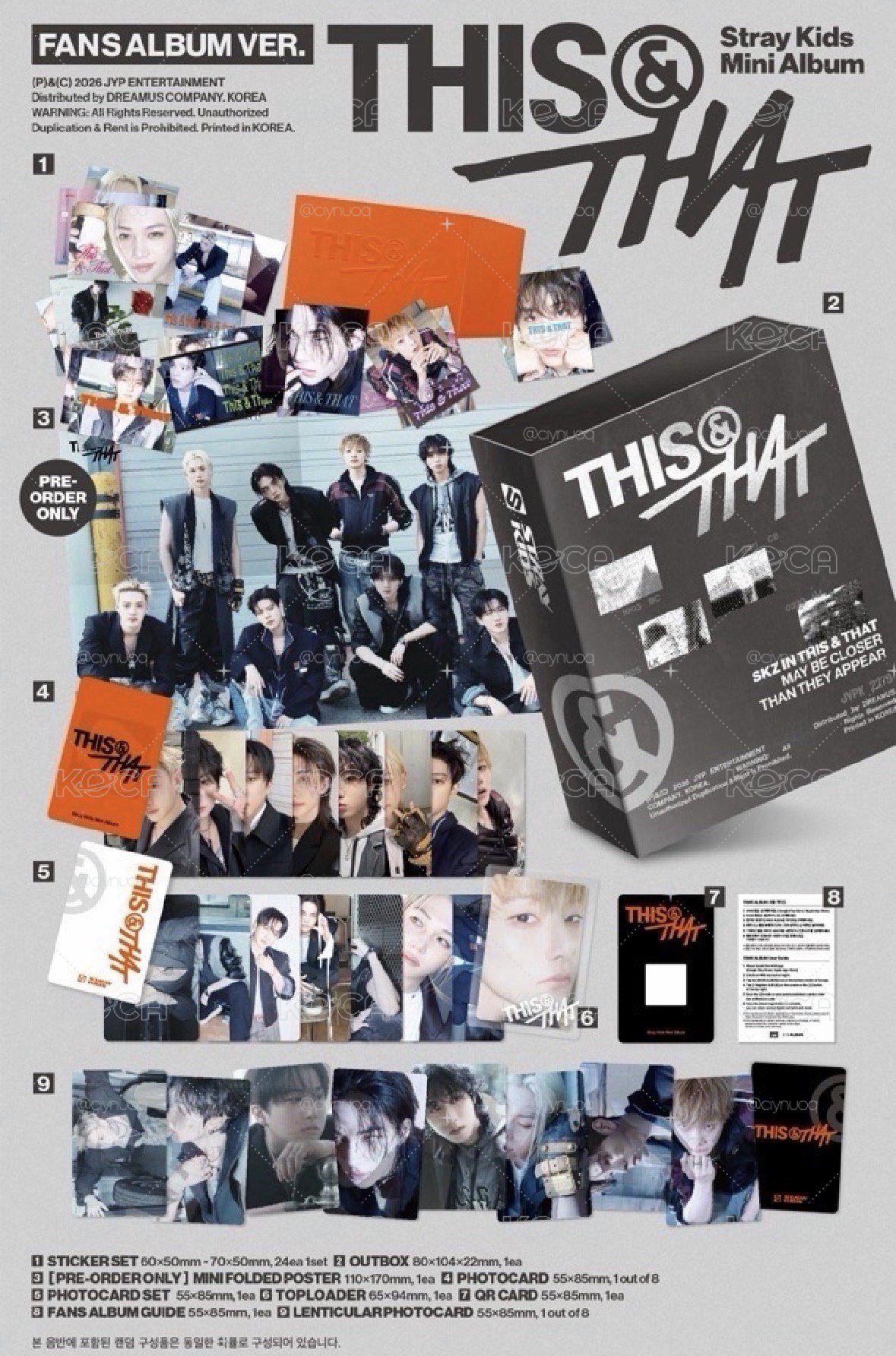 THIS & THAT 電子專 FANS ALBUM ver.