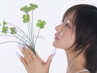 錢包增肥計劃