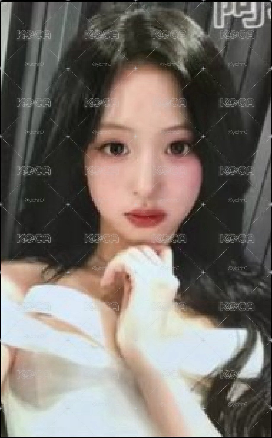 Wvs中區賢