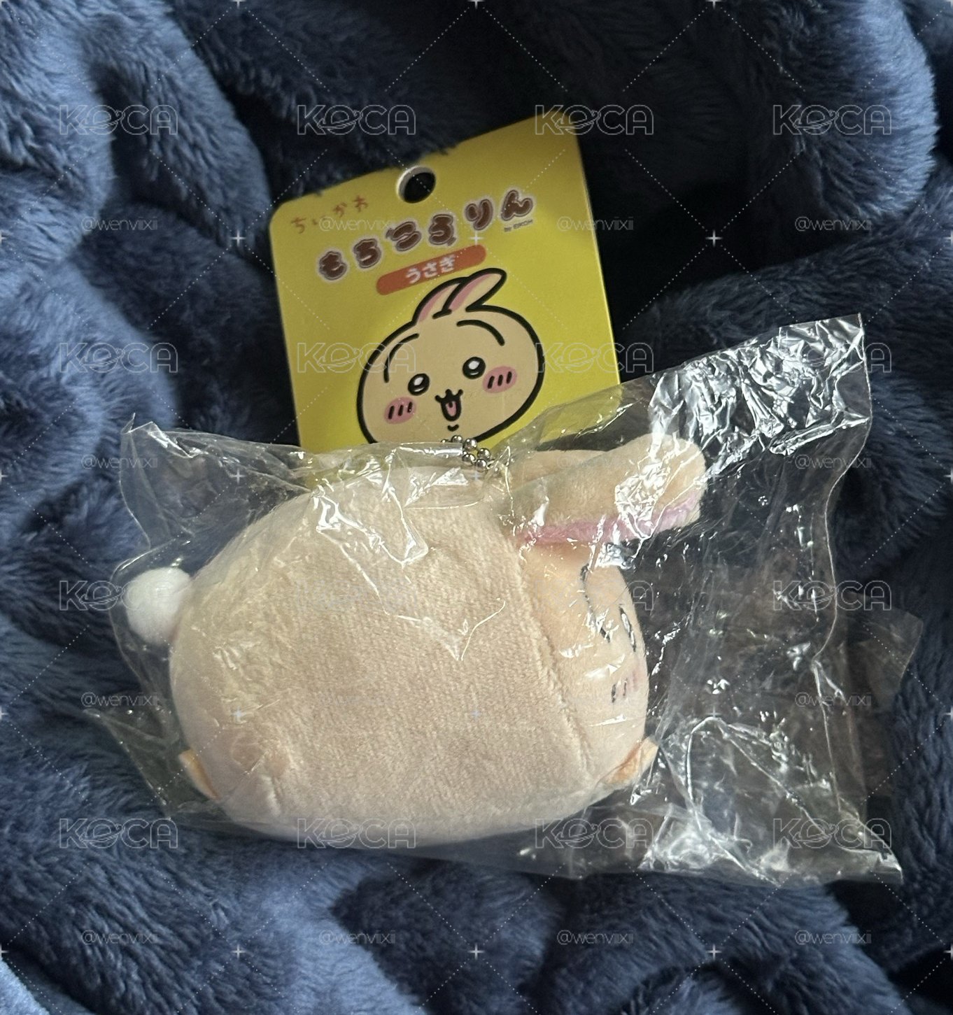 趴趴兔兔