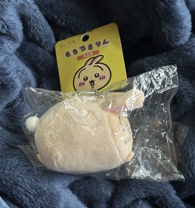 趴趴兔兔