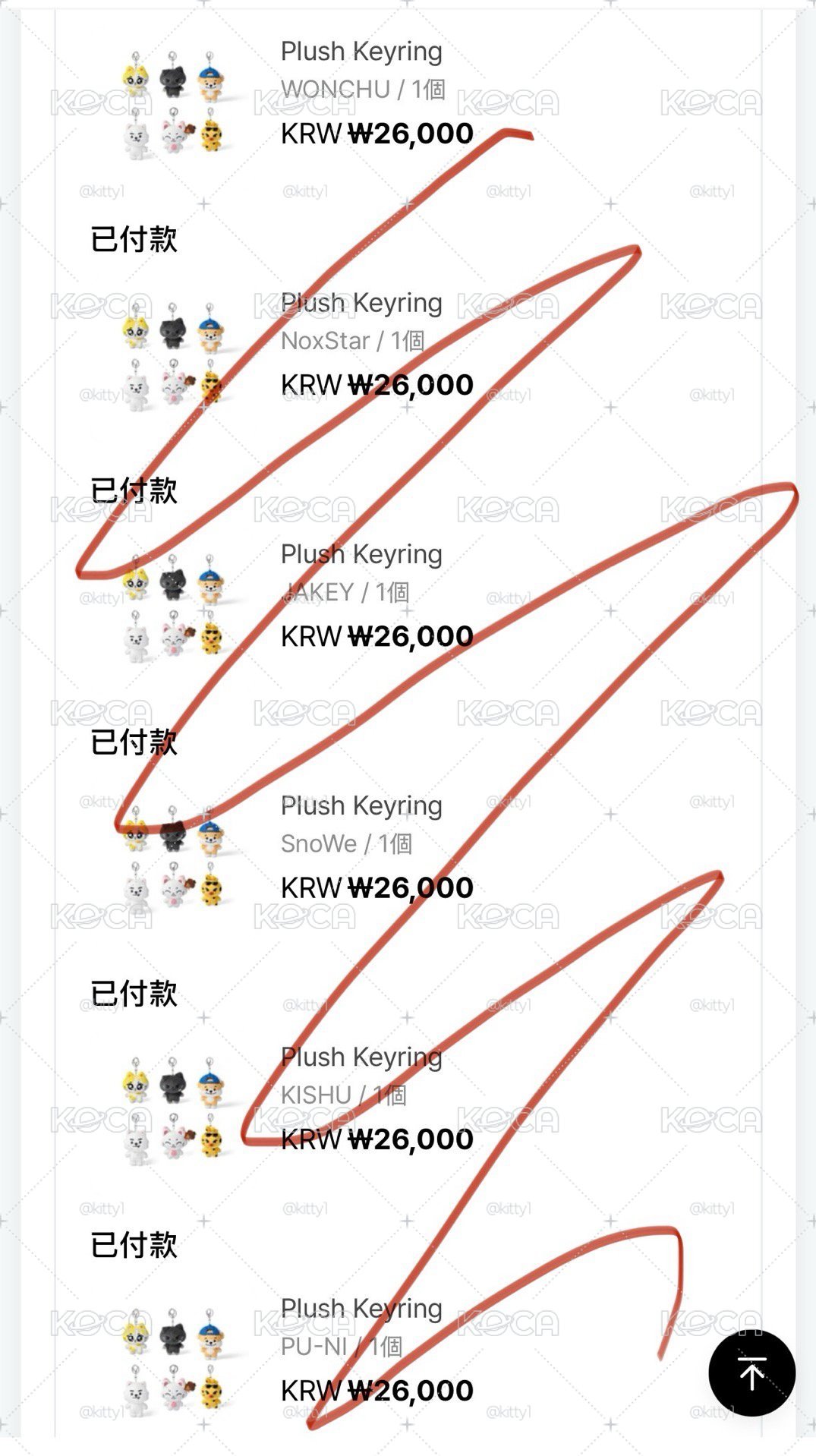 ENCHIN 原皮官娃 全員都有