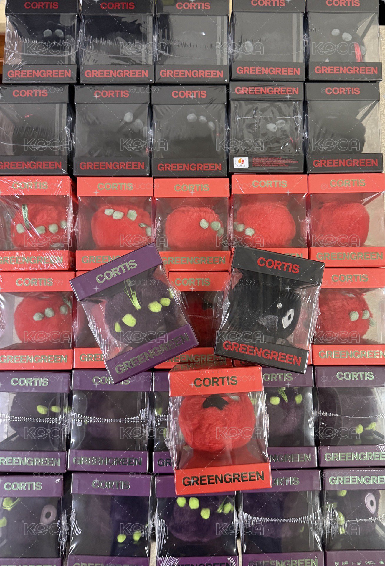 CORTIS 整套球專+骰子專全新未拆現貨