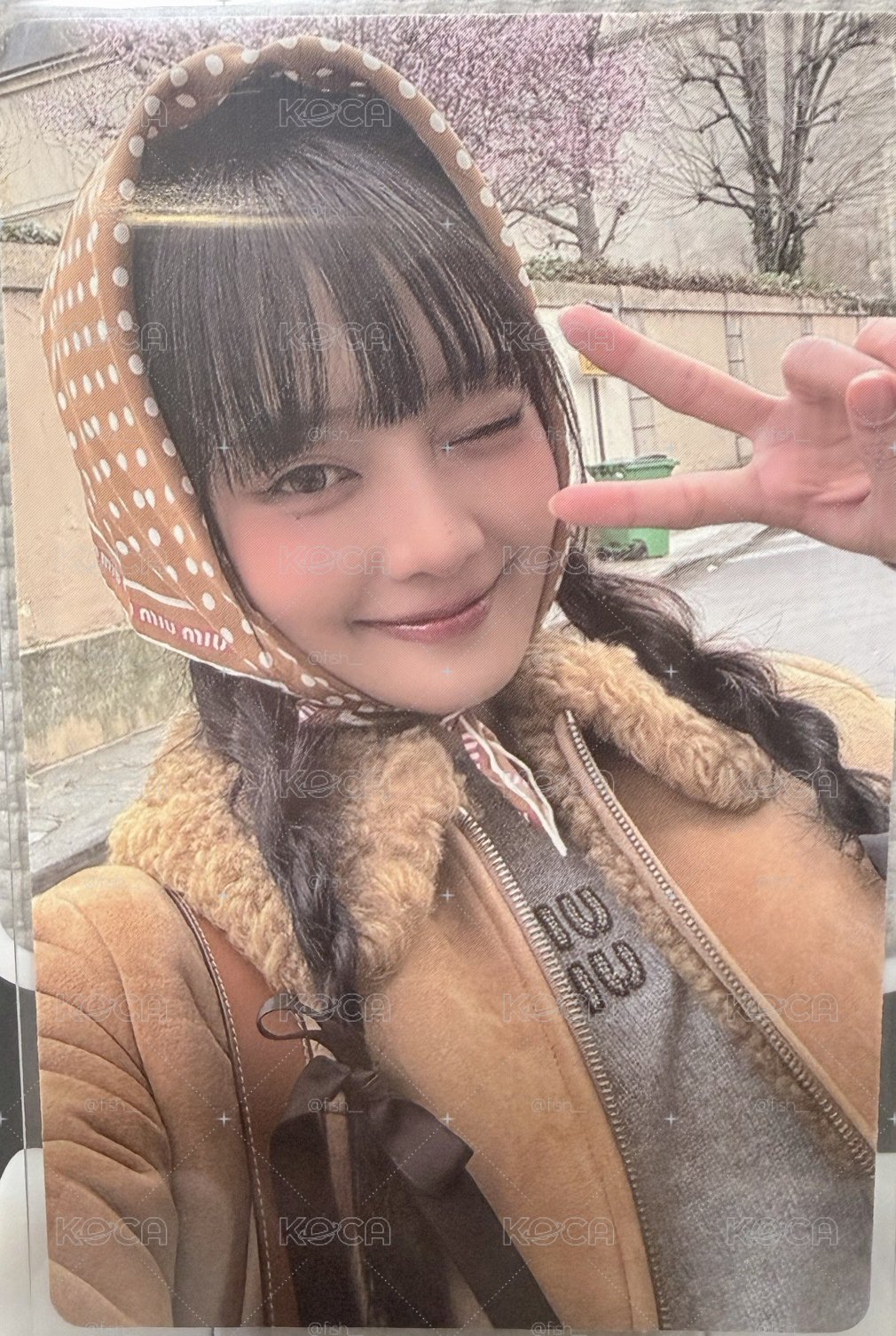 比Ya米妮
